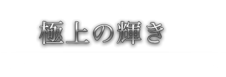 極上の輝き 最高品質のボディーコーティング